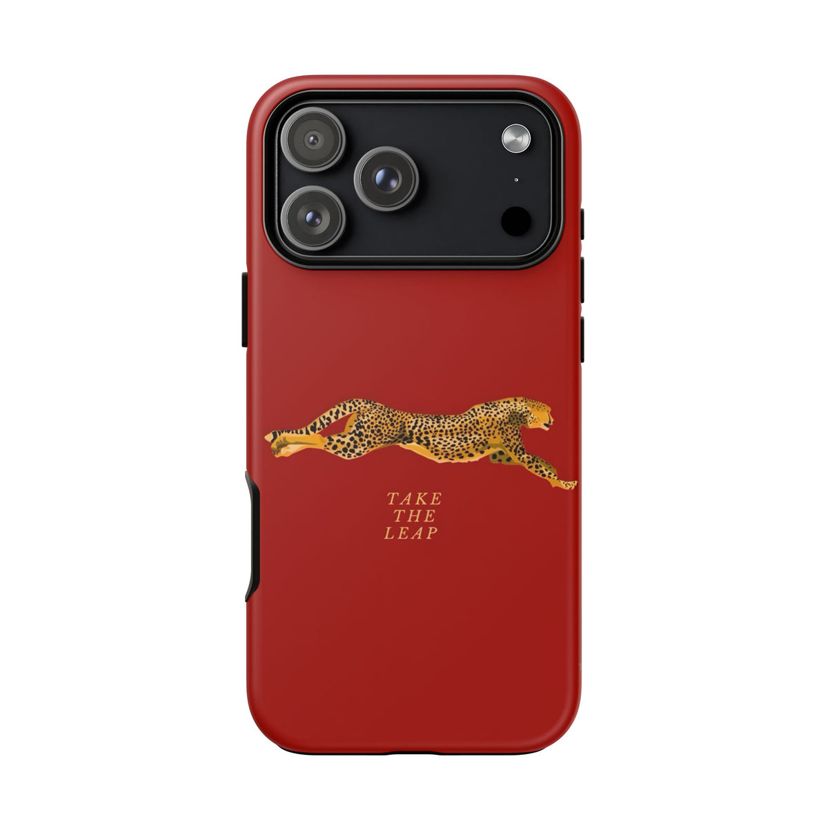Take The Leap Case