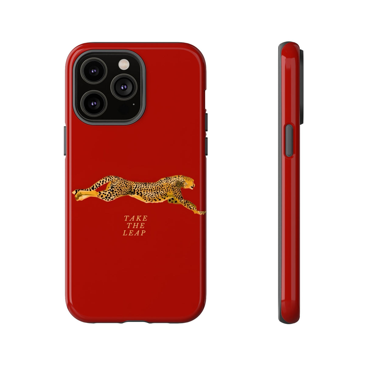 Take The Leap Case