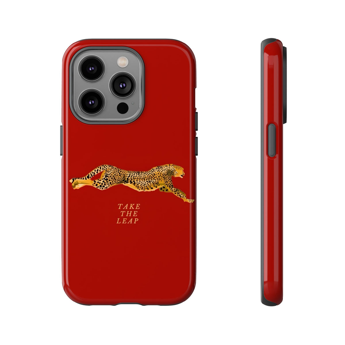 Take The Leap Case