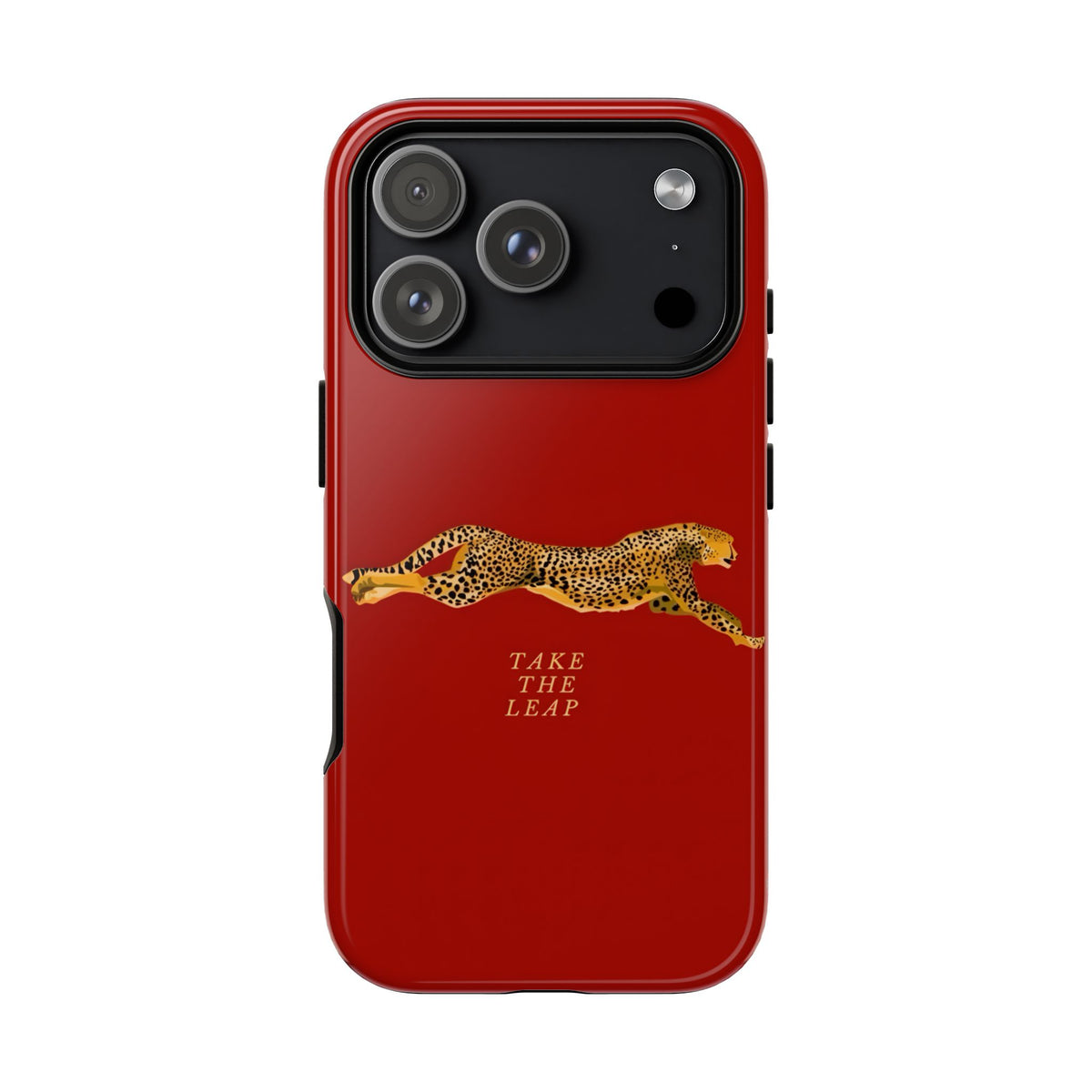 Take The Leap Case