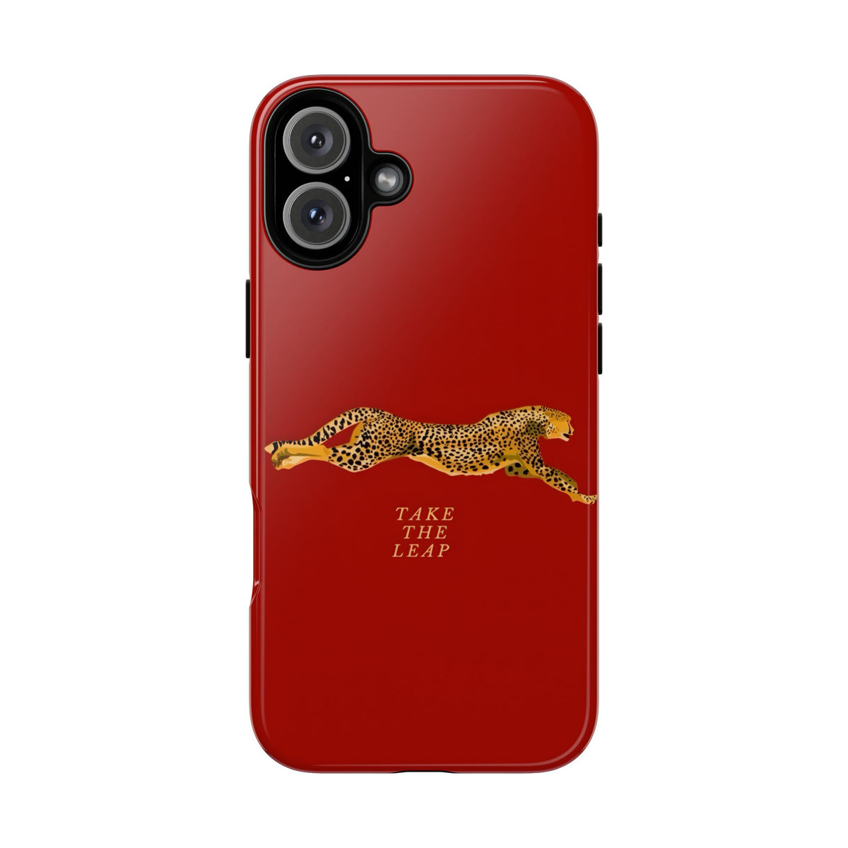 Take The Leap Case