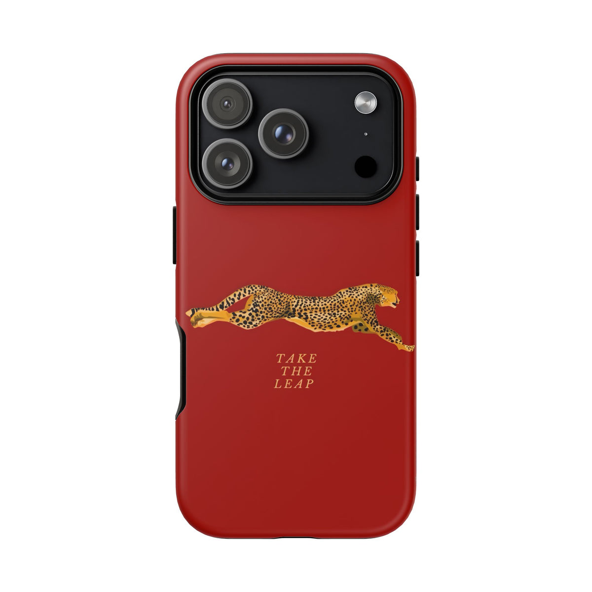 Take The Leap Case