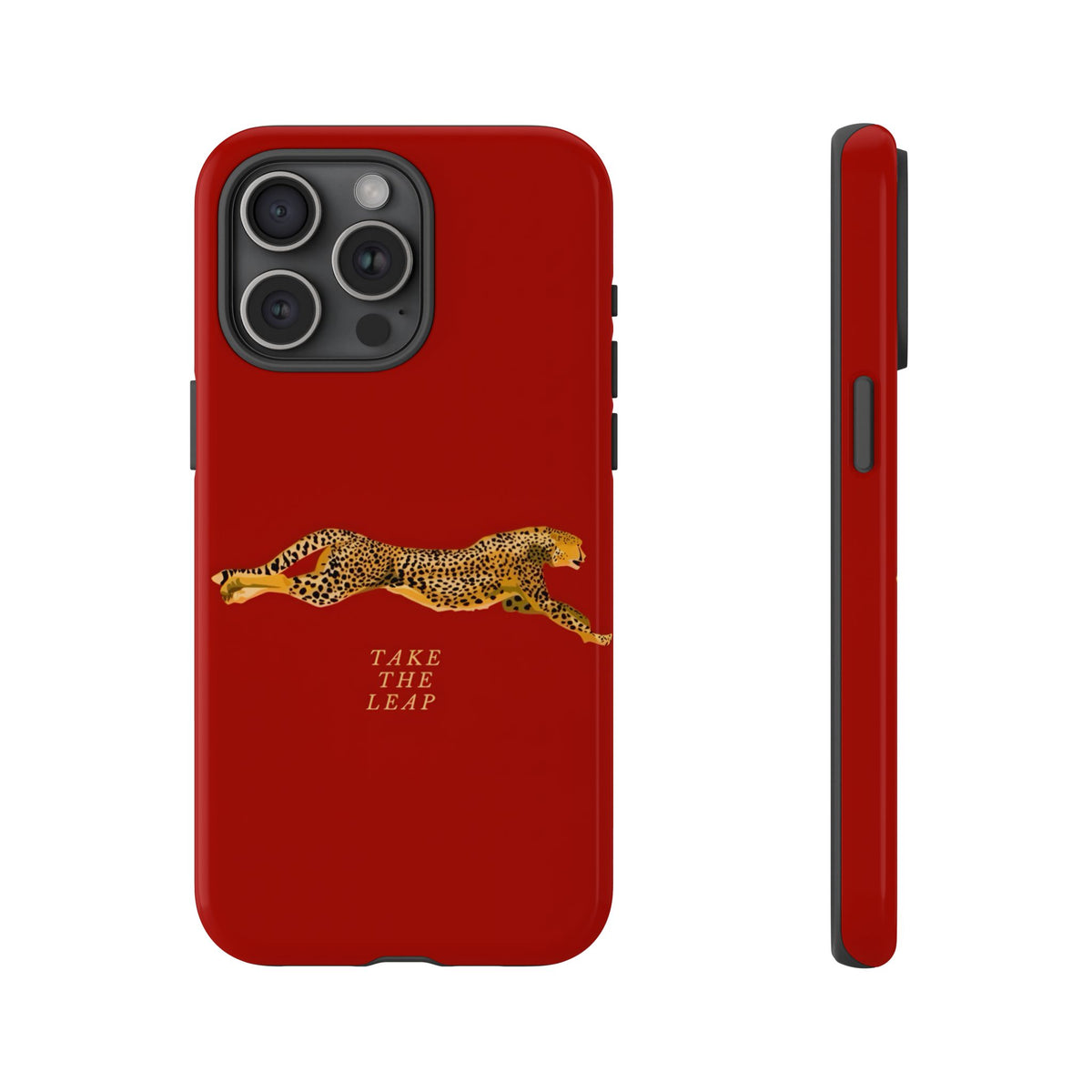 Take The Leap Case