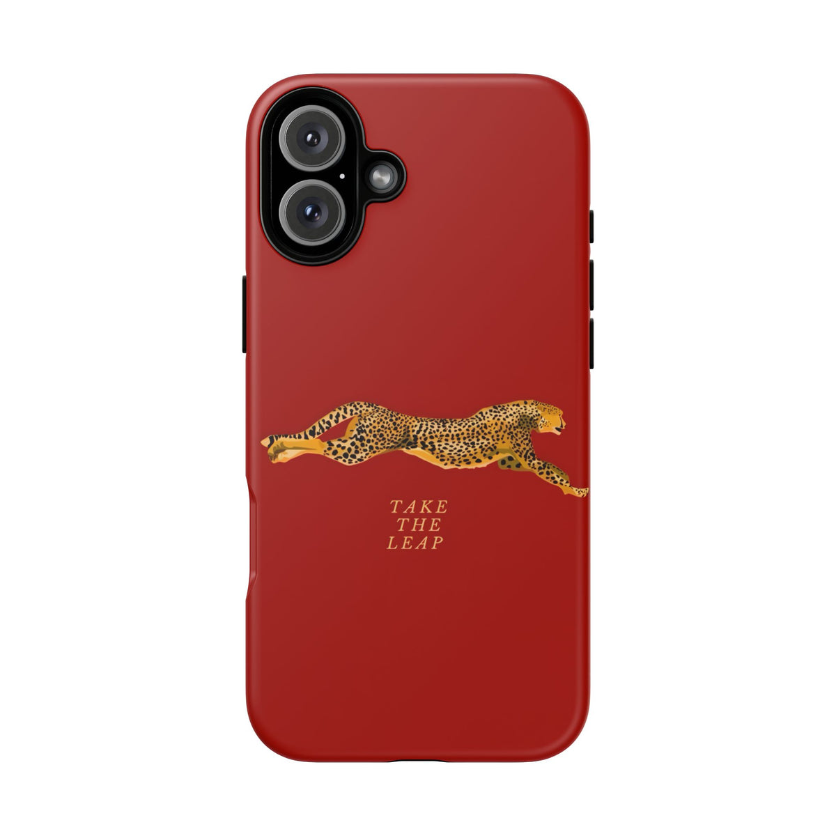 Take The Leap Case