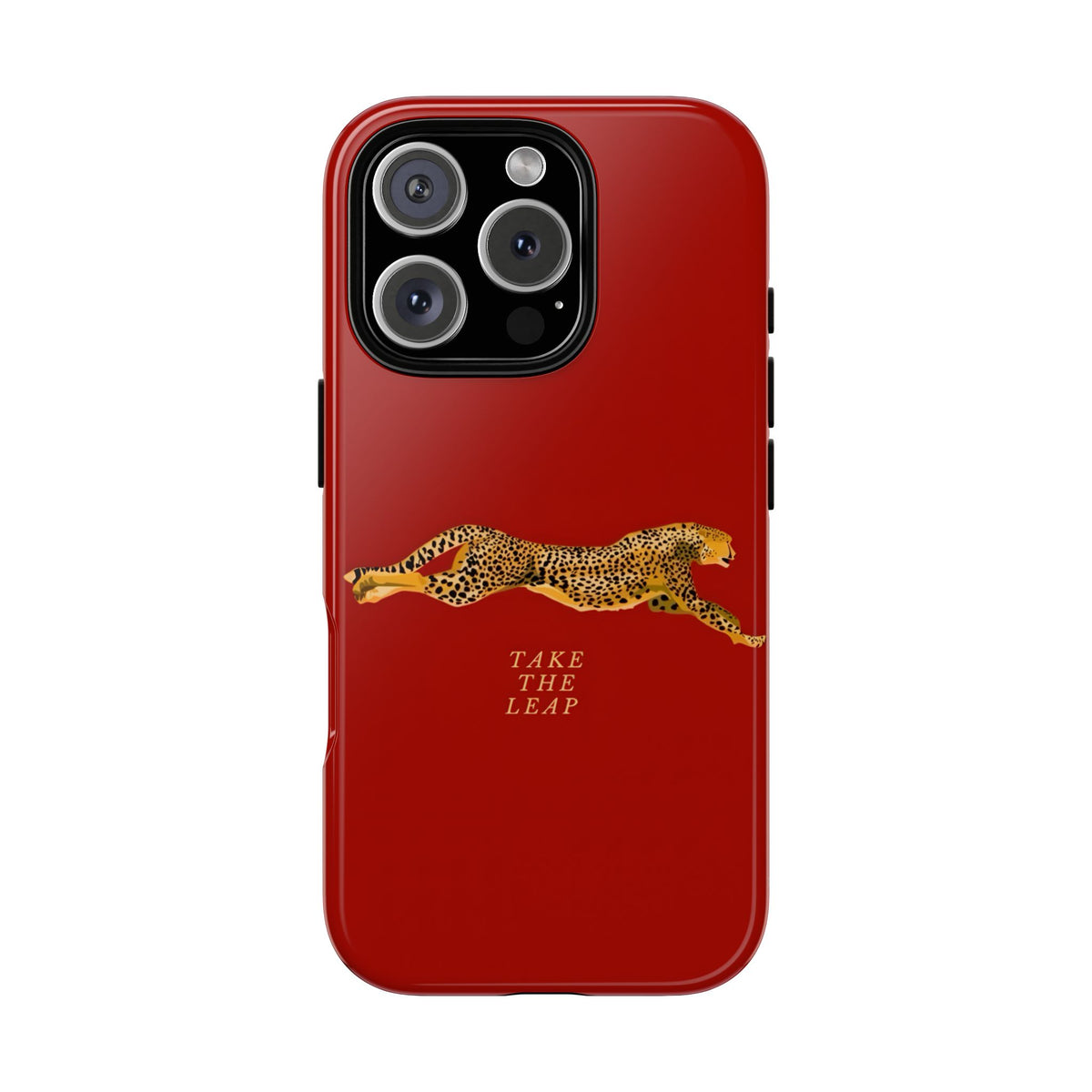 Take The Leap Case