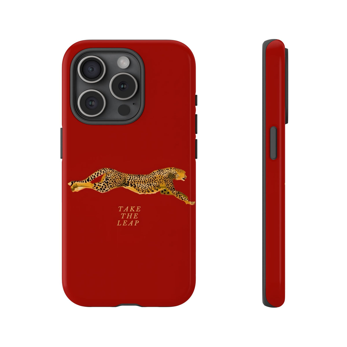 Take The Leap Case