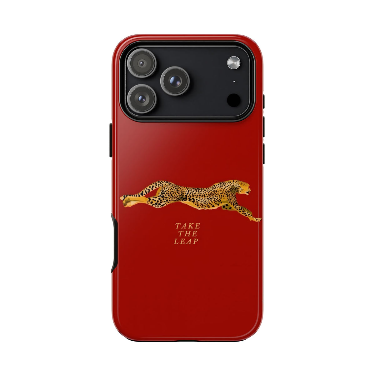 Take The Leap Case