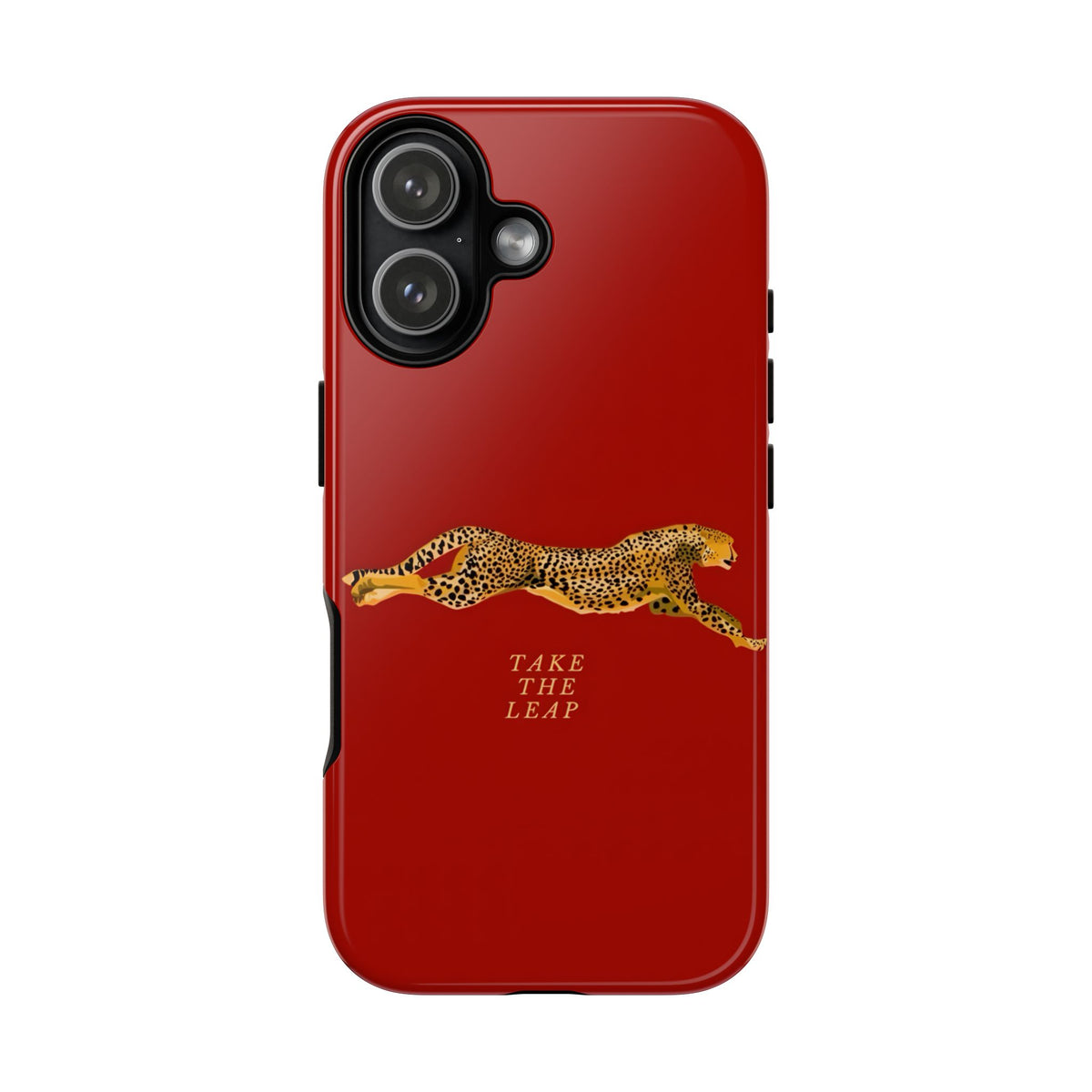 Take The Leap Case